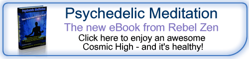 Psychedelic Meditation