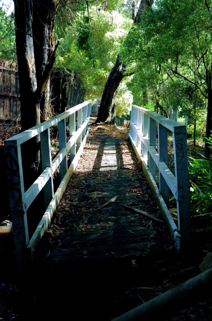 bridge1